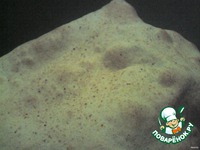 �������� � ����� �����������