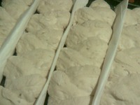 ���� "������� �������" �����������