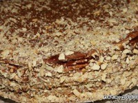 ���� "��������" �����������