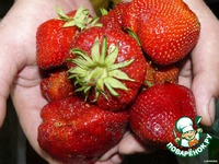 ���� � ������� � ������ � ������� �����������