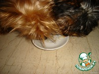 ������� �������� "4 ���" �����������