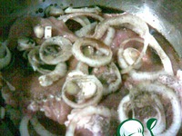 ������ ������ � ���� �����������