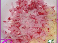 ���� � �������-2 �����������