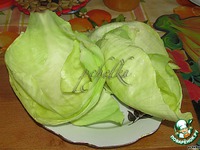 ��������-�������� "�����" � ����� �����������