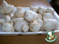 ��������� �����������