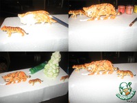 ���������� ���� "��� �����" �����������