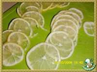 �������� ���� �����������