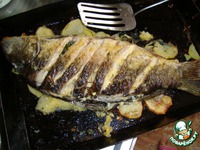 ���������� ���� �����������