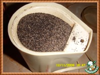 ������������ ����-������� � ����� �����������