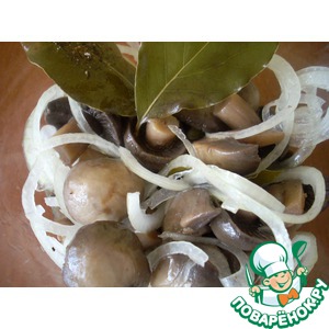 ������������ �����