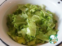 ����� "��������" �����������