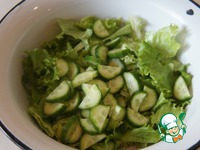 ����� "��������" �����������