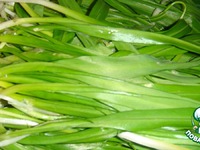 ���� �� ������ ���� �����������