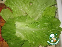 ���� �� ���������� � ������� �����������