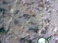 ������� � ������� �����������