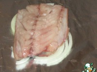 �������� � ������ �����������