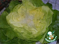 ������ ����� "������� ����������" �����������