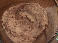 ���� "������ ������" �����������