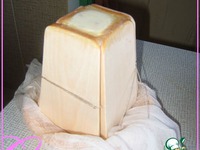 ����� ��������� ��� ����� �����������