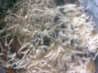 �������� �����������