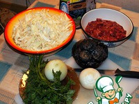 ���� ����������� �����������