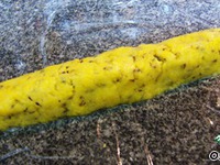 �������� ������� � �������� �����������