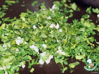 �������� � ������������ ����� �����������