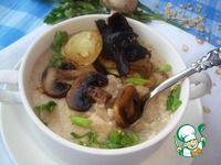 ������������ ���� � ������� � ����� �����������