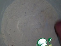 �����-�������� ���� �����������