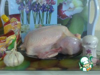 ������� � ������� �����������