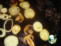 ������������ ���� � ������� � ����� �����������