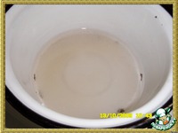 �������� ���� �����������