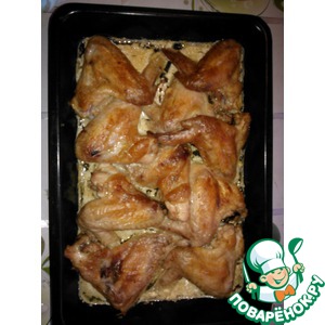 �������� � ���������-��������� �����