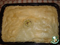 ������ �����������