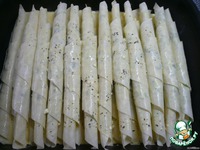 �������� �e��� �����������