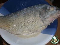 ����, ������������� ����� � ������� �����������