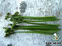 �������� � ������������ �����������