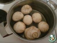 ������� ��� "������� �������" �����������