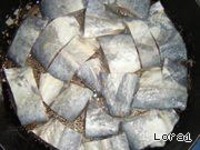 ��������� � ����� "������� �����" �����������