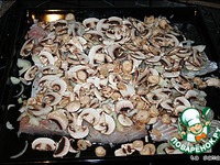 �����, ���������� � ���������� � ������� ��� ��������� �����������