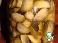 ������������ ���������� �����������