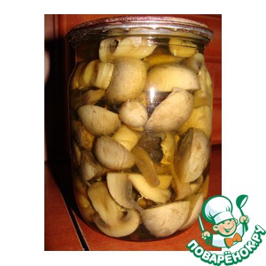 ������������ ����������