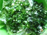 ����� "��������" �����������