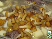 ���� � ���������, ���������� � ��������� �����������