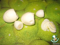 ������� "������� ��������" �����������