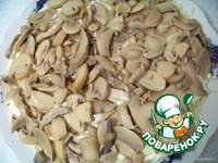 ����� "����������" �����������