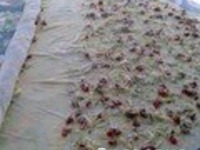 ����� �����������