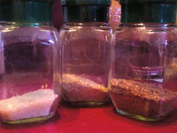 ���� "����" �����������