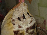 ���� "����� ��� ��������" �����������