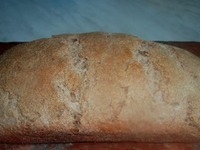 ��������-������ ���� �� �������� �����������